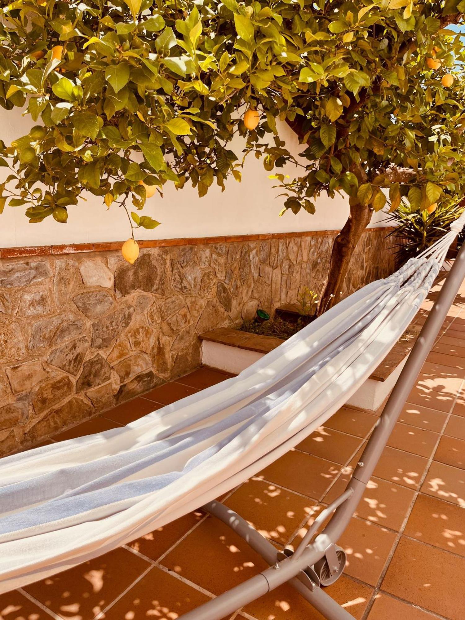 Casa Limon, Boutique Bed And Breakfast, Adults Only Alhaurín el Grande Zewnętrze zdjęcie